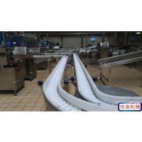 【柔性链板输送机图片】柔性链板输送机