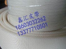 供应帆布输送带 东莞市鑫汇流水线机械配件厂 输送带 工业皮带 挡板加工皮带 马达 变频器